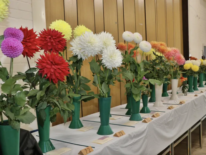 Horticultural Show_Autumn 01