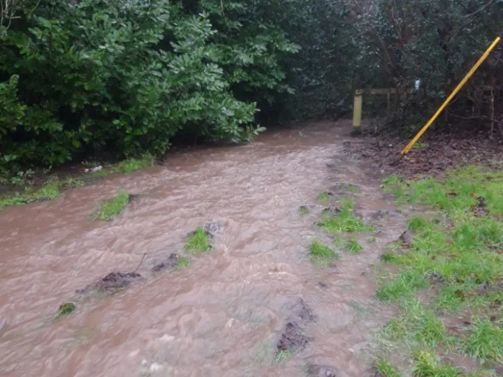 Flooding Willington La 2021-01-20