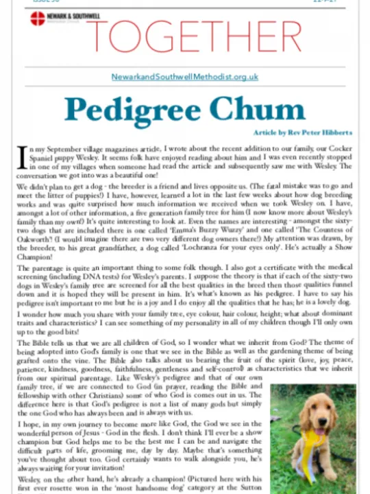 Circuit TOGETHER 50 22-9-21 &ndash; Preview