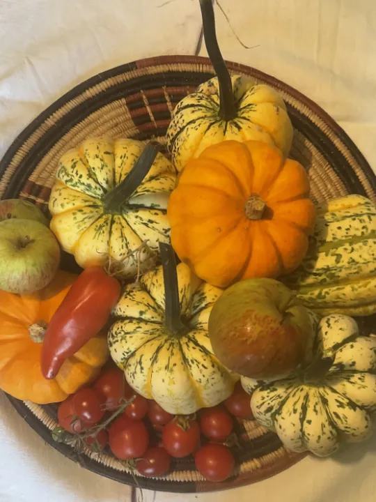 C1668C9B-FE8E-4477-8B66-D5A3FDCF6326