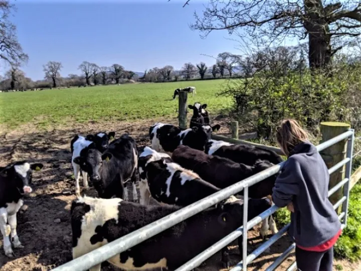 e41fe712-c951-42af-9ab1-39269ce85270