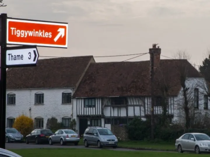 Tiggywinkles Sign 06