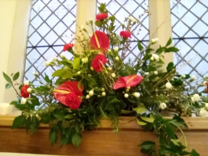 IMG_20211219_094818_0