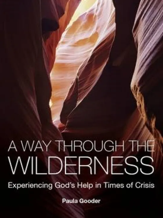 A Way Through the Wilderness