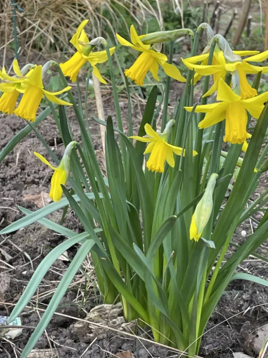 AA9D475B-585D-4218-ACBA-1A19BE456716