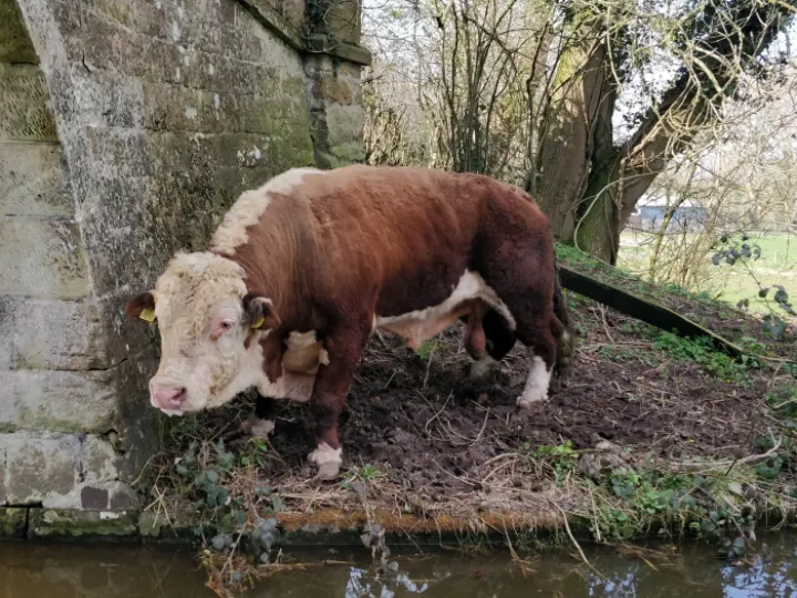 Img_20220325_111558 (1)