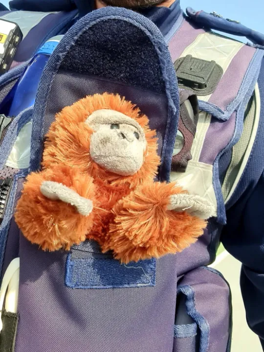 Ooh Aah Back In Safe Hands