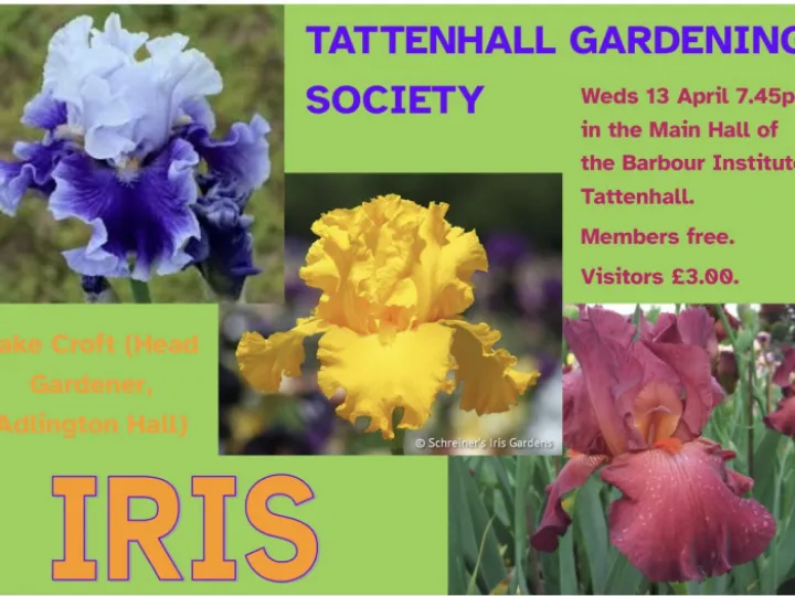 909319B2-9FBD-450D-B609-79853BA691AE