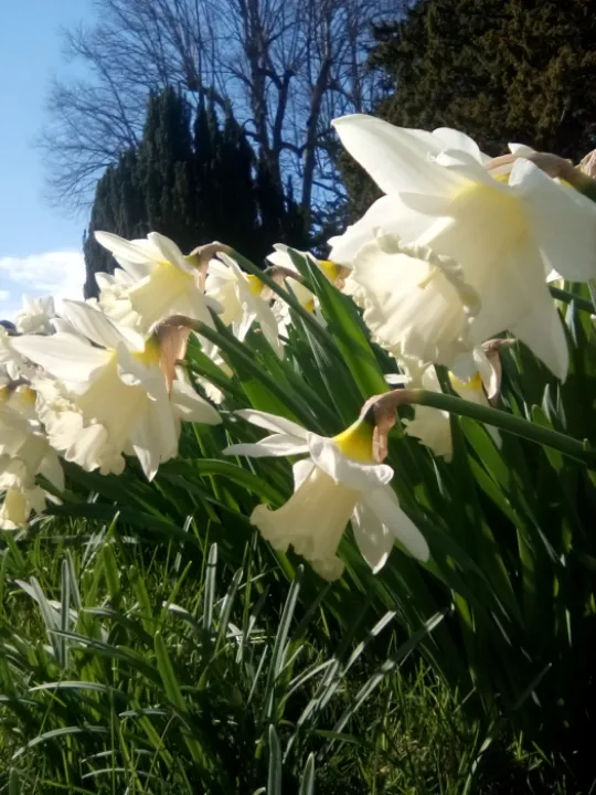 IMG_20220402_143415_1