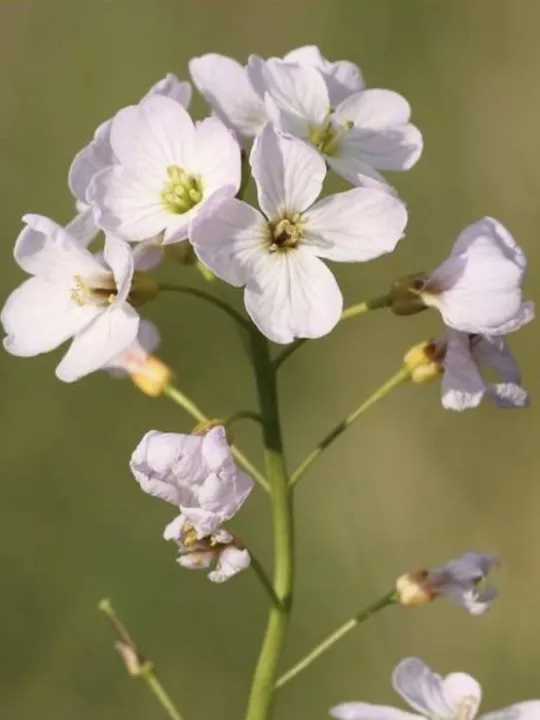 E627B64C-032C-47B7-8406-348DC6FAE5B0