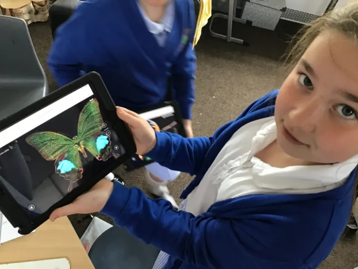 1FFD60A4-0FB2-4AAB-BB68-78A490A76CAB