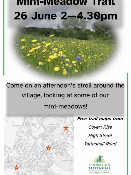 099B82B8-04BC-49E6-AB5A-D5FF092CCDFF