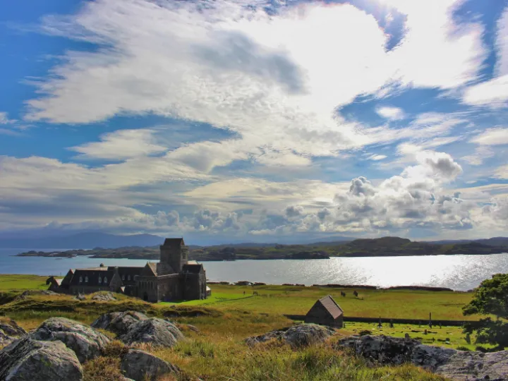 caroline-hall-_ex-NtBjajI-unsplash