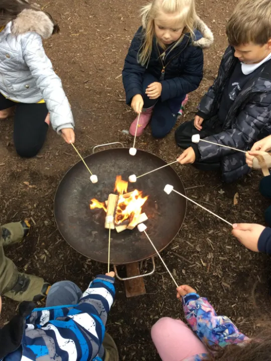 Marshmallows 2