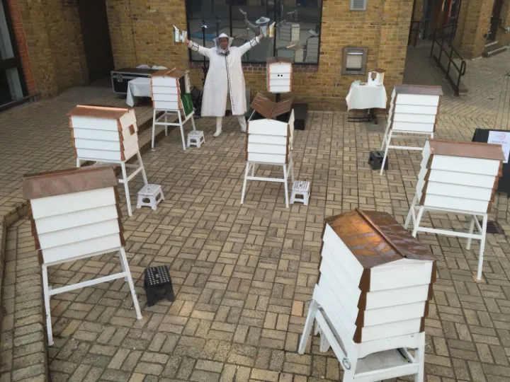 Bee Hives Image For Creative Champions Piece