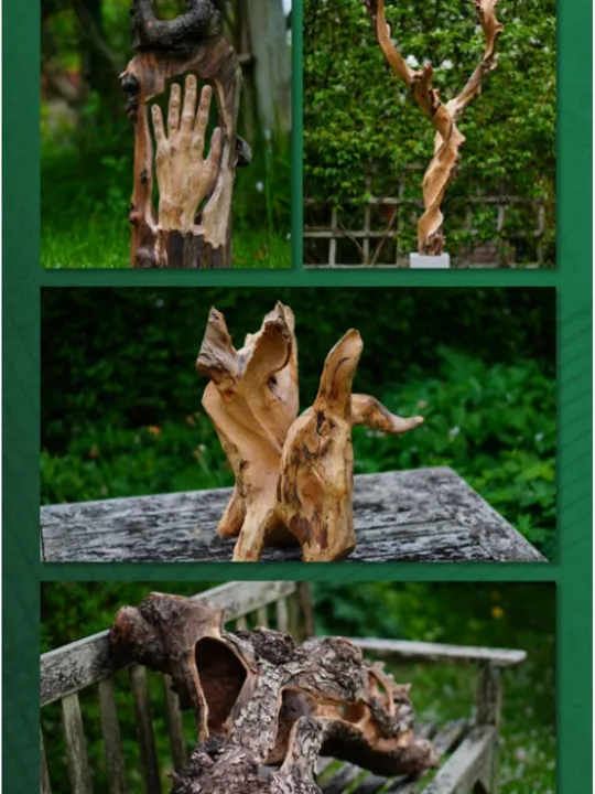 Highfield Trinity Exhibition