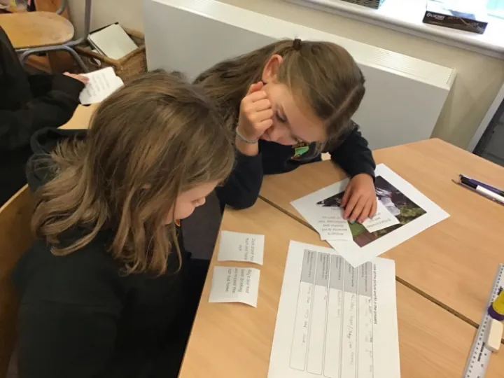 Y4 PSHE Drug lesson 2