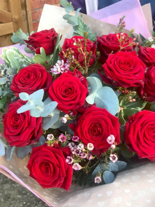 12 Red Roses