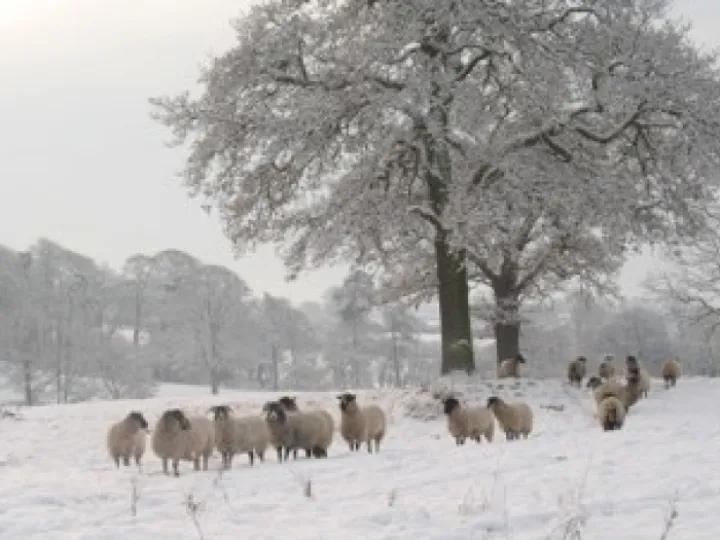 36d852a550e34a208ea112d1182b2d75