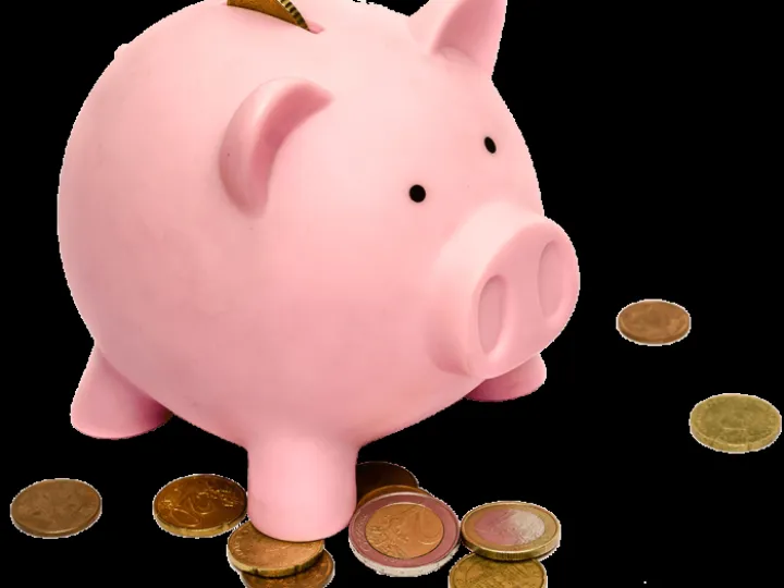 piggy_bank_PNG82