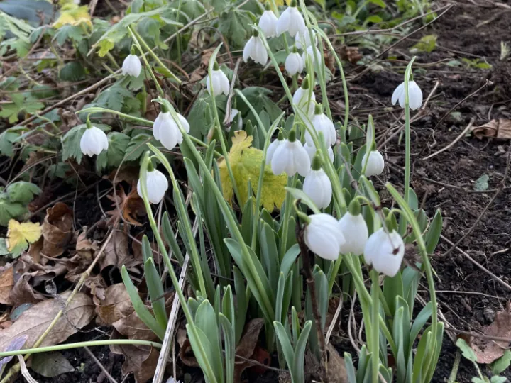 7368D4DD-A4A8-47A2-972E-9C52981975E2