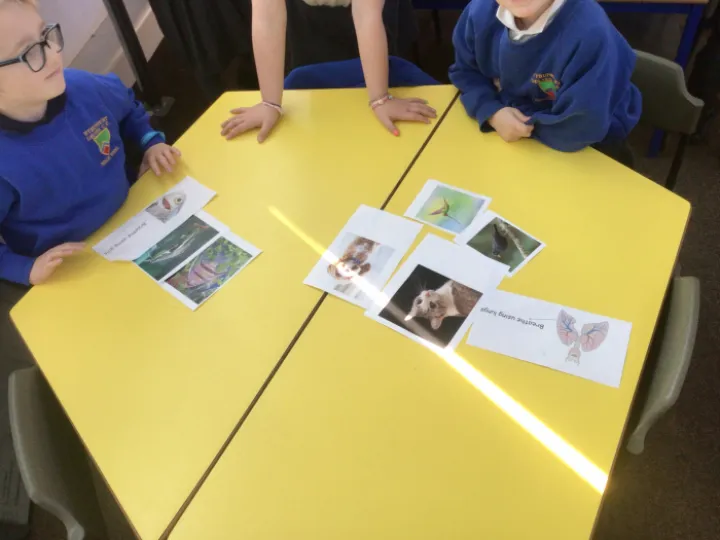 CA945131-1E03-4AA4-BD2C-0E0B7B5534FB