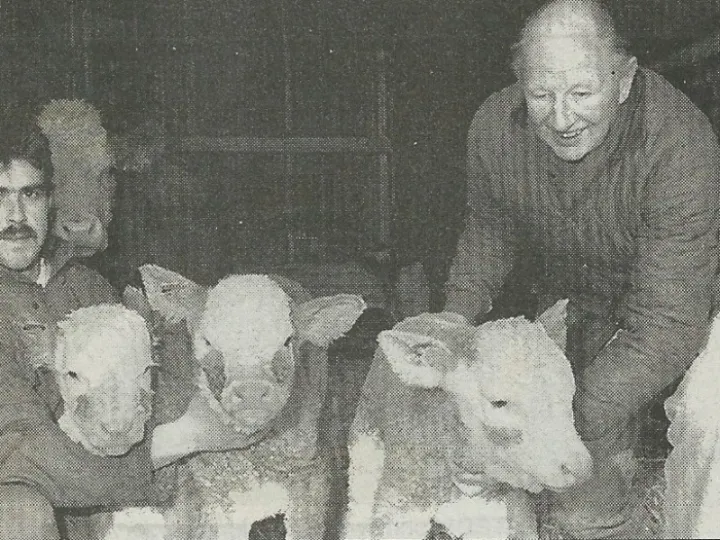 Triplets at Hochenhull Farm Jan 1996 PhotoScan