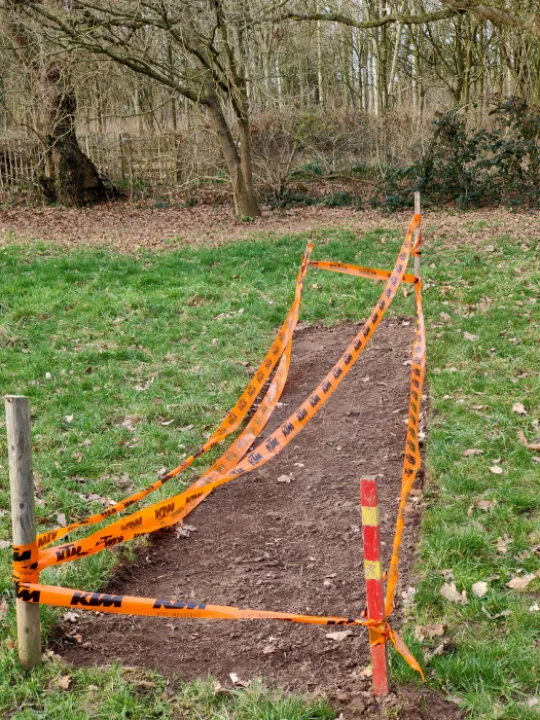 TCW Wild Meadow Flower Patch IMG20230219152728[367315]