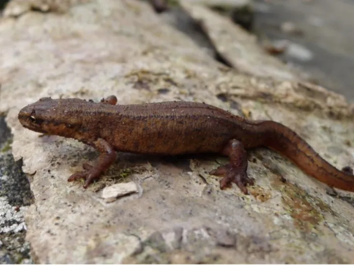 B0D03183-9578-4AF7-A75E-921D21E3B481