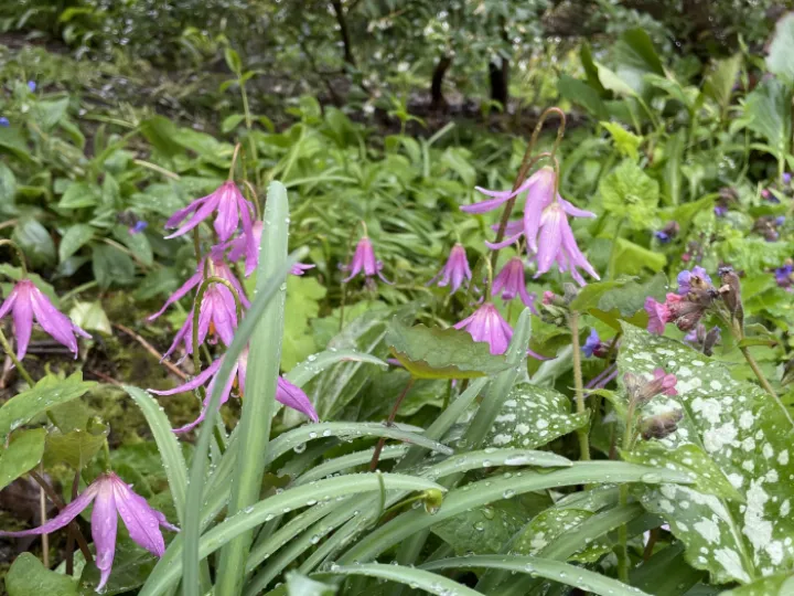 037FCA35-371F-4B21-92EA-A6506105A010