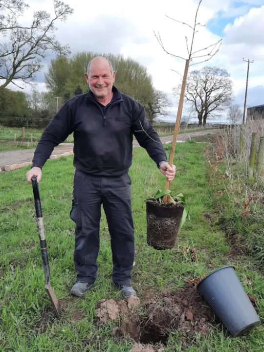 Oak Trees at Park View