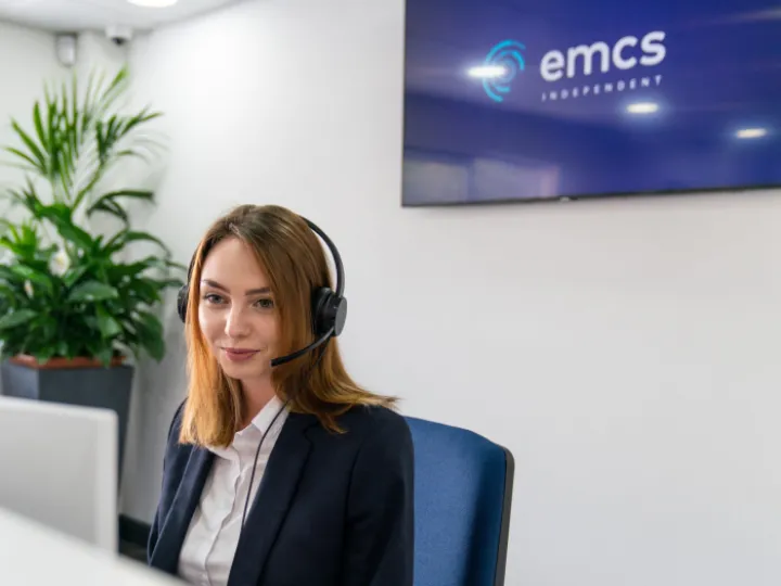 Remote monitoring for alarm networks