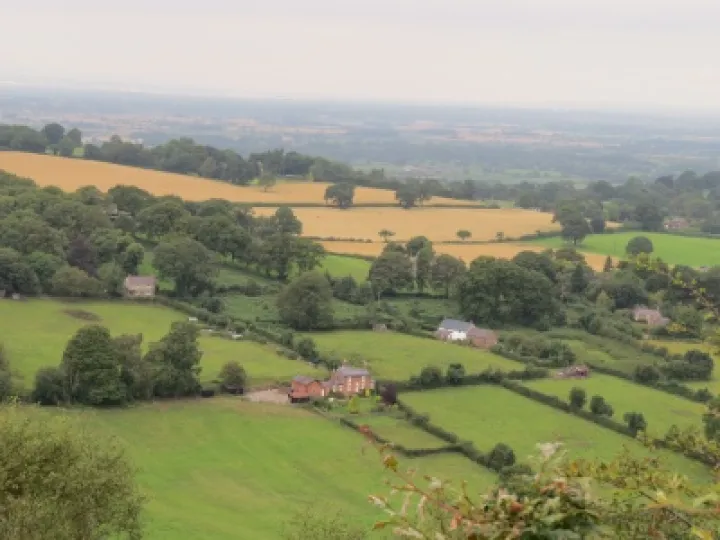Views from Bickerton Hill