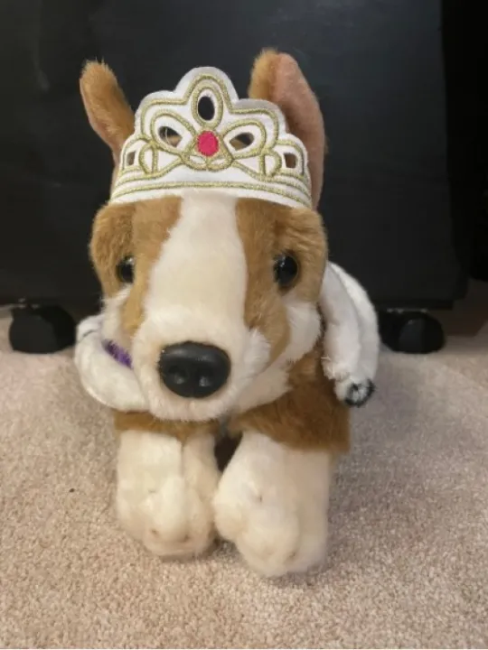 corgi