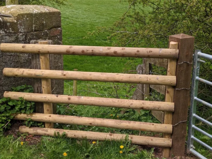 Pxl_20230429_133242990 2