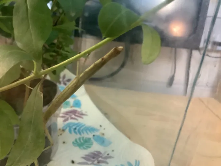 D228EE0E-46F6-482D-9DAC-48C3E8EB01BA