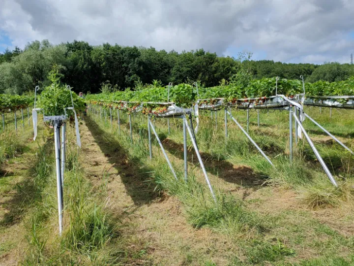 Delamere Farm Shop IMG20230624102629
