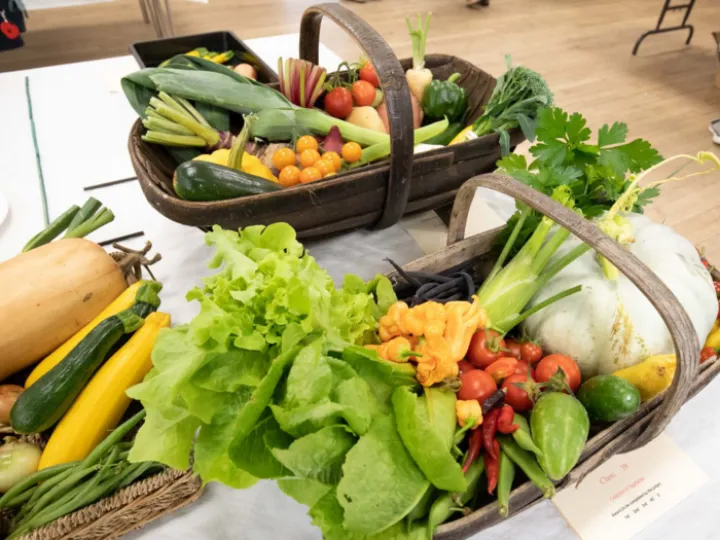 HHS Annual Show 2023