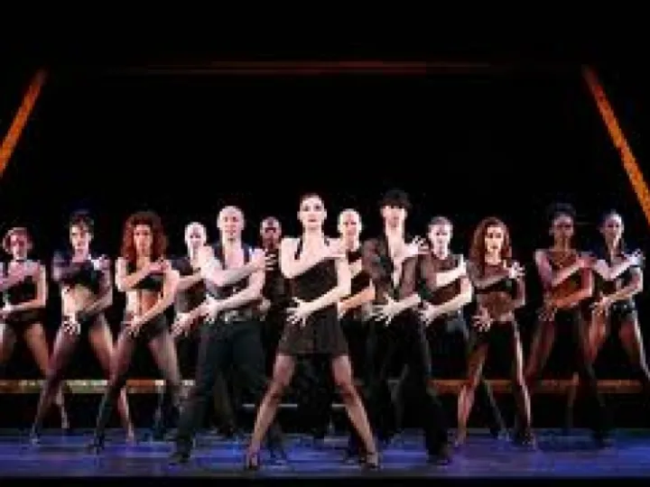 Cast of chicago