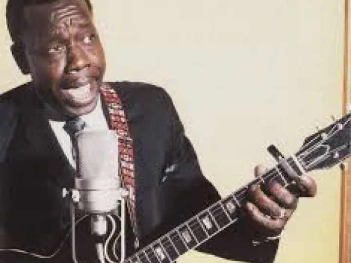 Slim harpo