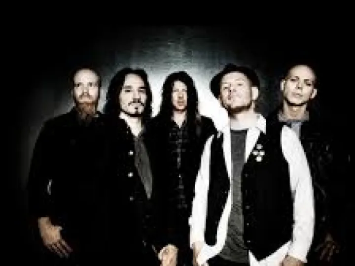 Stone sour