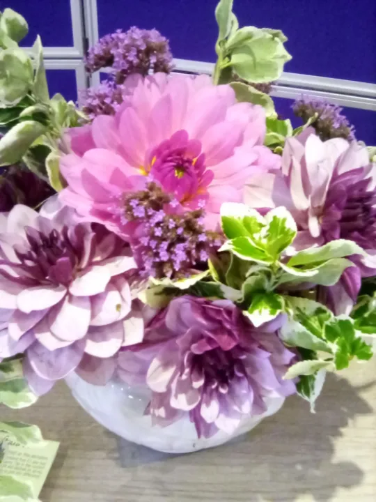 2023-09-24 Harvest Festival