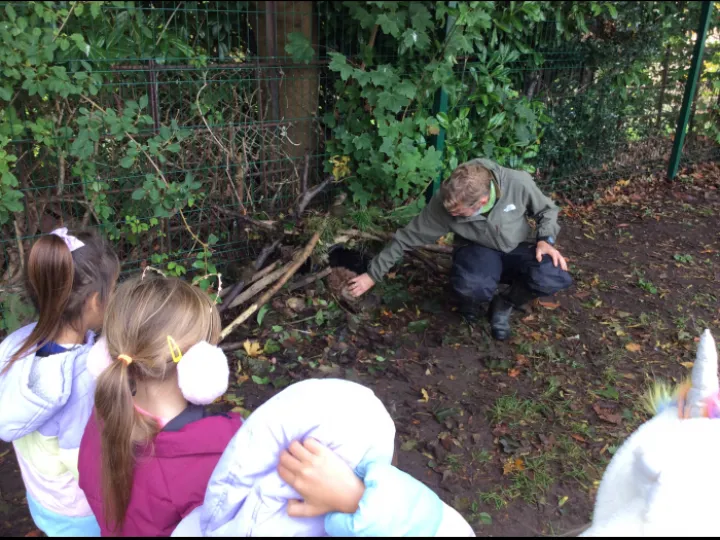 Forest School 2nd Oct 2