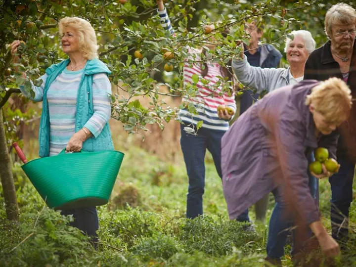 elswick-residents-picking-apples