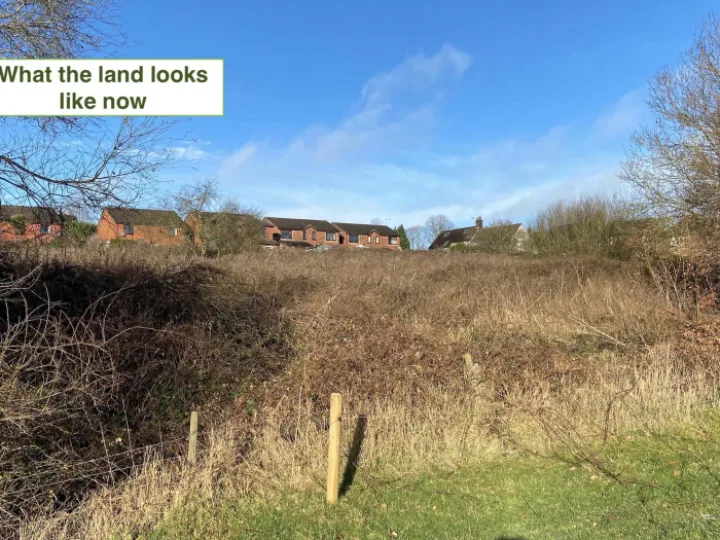 Land from field winter