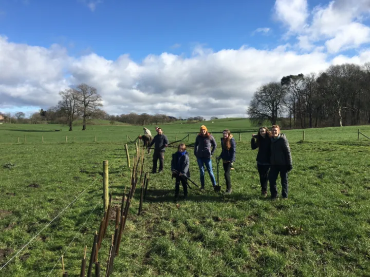 Planting At Marlheath