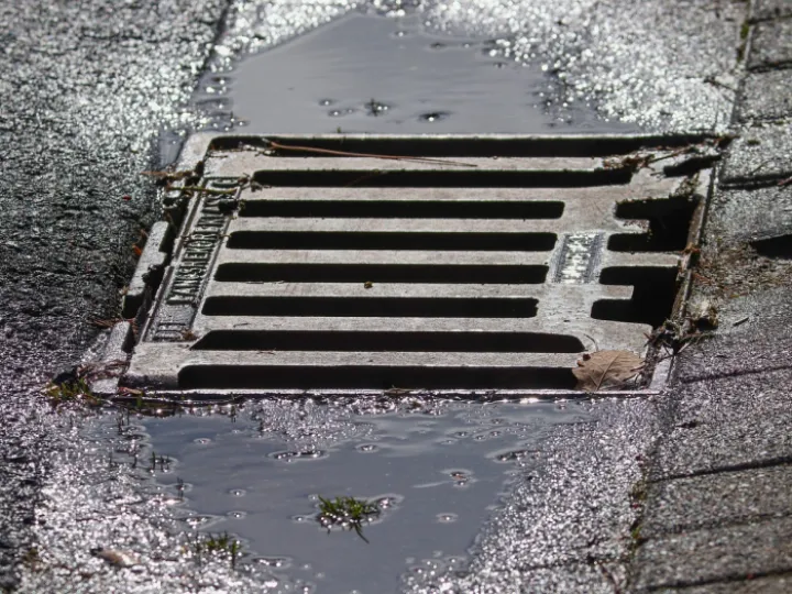 Drain cover
