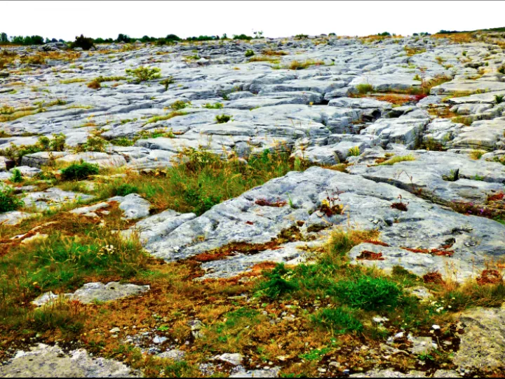 The Burren