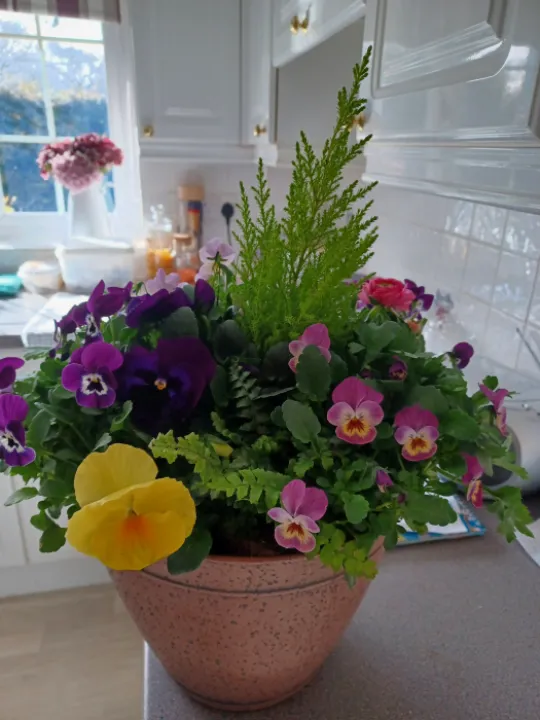 Flowers for housebound friend