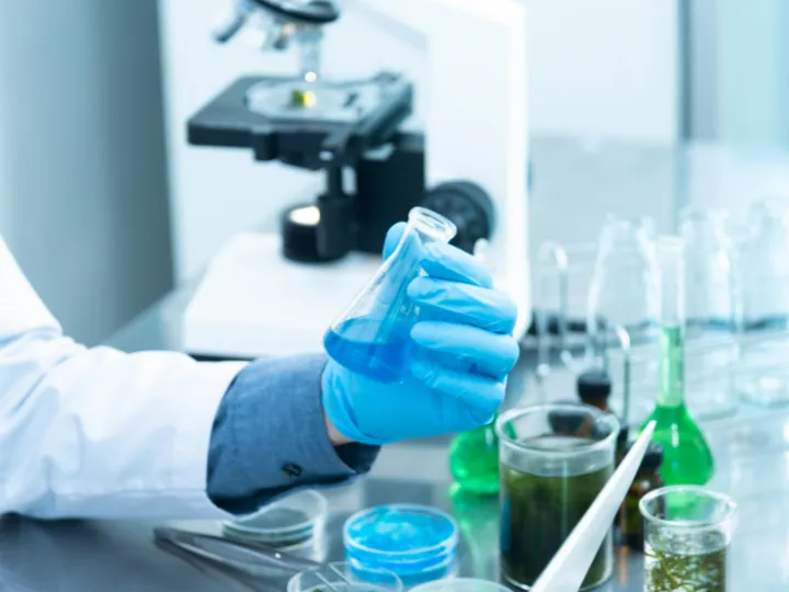 Person Holding Laboratory Flask